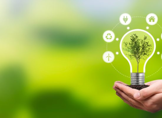 CBN Sustainable Tech Innovations Greening the Business Landscape